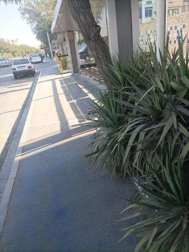 عکس  امامت 72