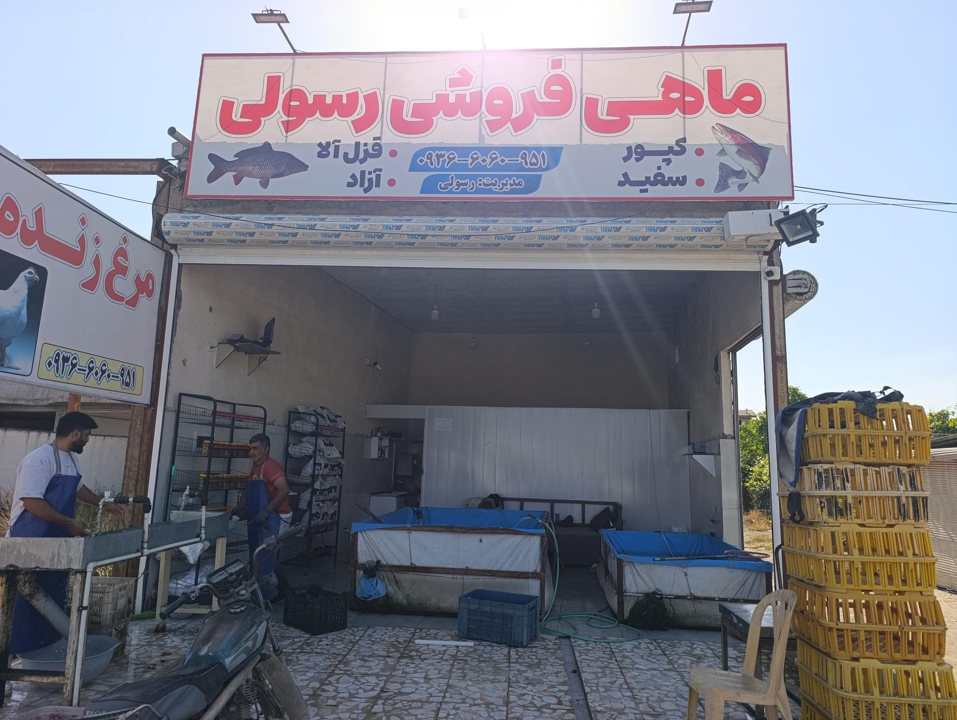 عکس مرغ و ماهی زنده رسولی