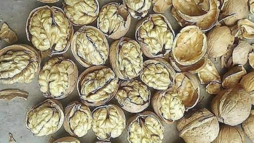 عکس آجیل و خشکبار مجلسی