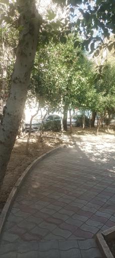 عکس میدان دردشت 