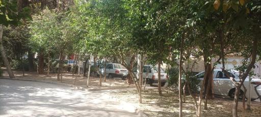 عکس میدان دردشت 