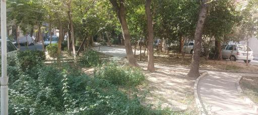 عکس میدان دردشت 