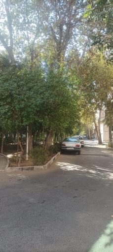 عکس میدان دردشت 