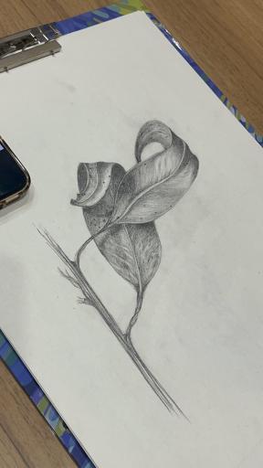 آکادمی هنر کولاژ