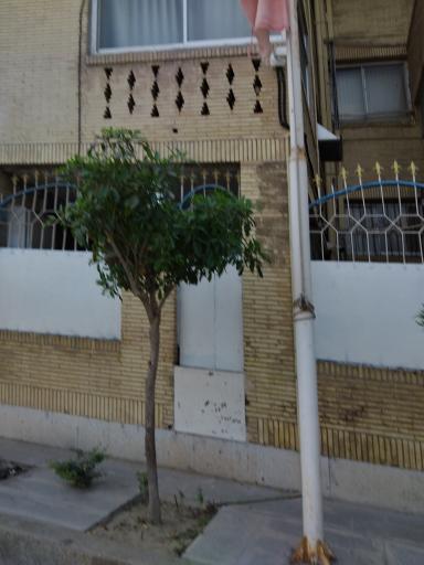 عکس شرکت ملی نفتکش ایران