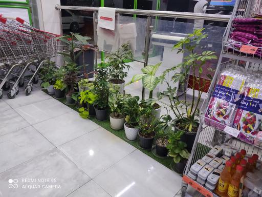 عکس بازار شیبان