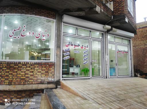 عکس لبنیاتی ره شمال