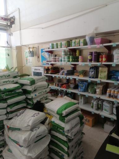 عکس داروخانه گیاه پزشکی نهال