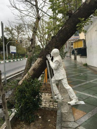 عکس مجسمه احترام به درخت