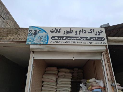 عکس خوراک دام و طیور کلات برادران شاهی