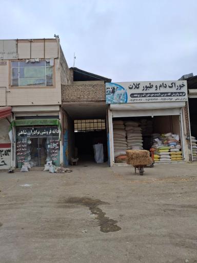 عکس خوراک دام و طیور کلات برادران شاهی