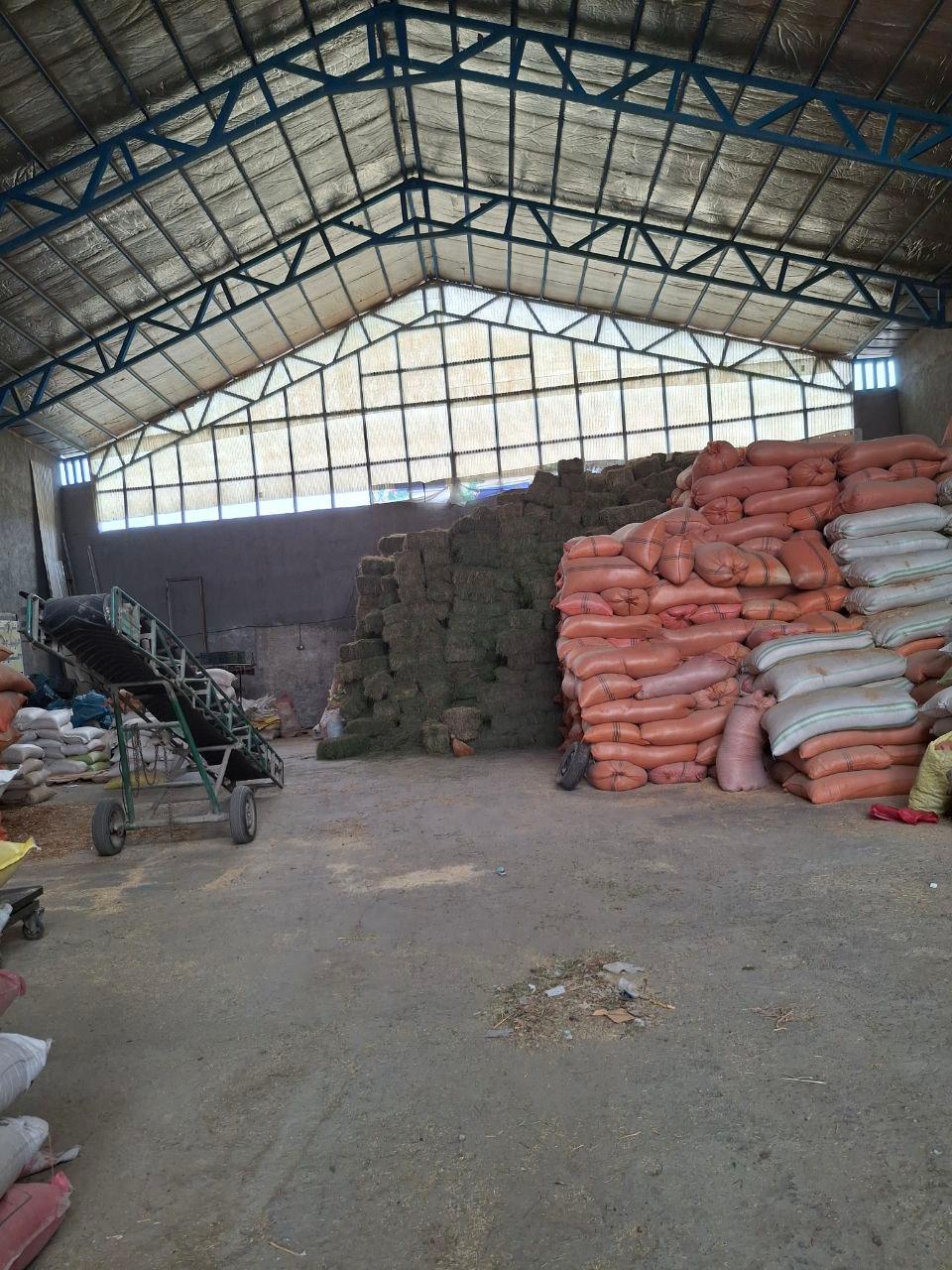 عکس خوراک دام و طیور کلات برادران شاهی