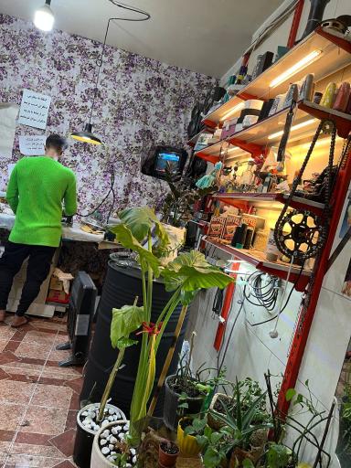 عکس مزون تک دوز