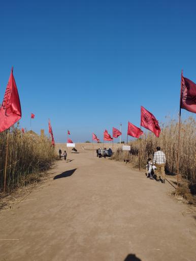 عکس قدمگاه شهدای غواص علقمه 