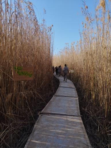 عکس قدمگاه شهدای غواص علقمه 