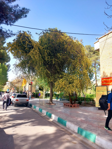 عکس پردیس شهید باهنر اصفهان