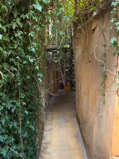 عکس خانه سنتی پرهامی