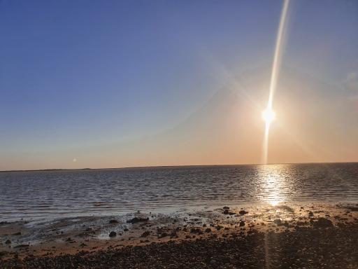 عکس بندر ریگ