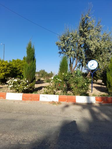 عکس میدان گلها 