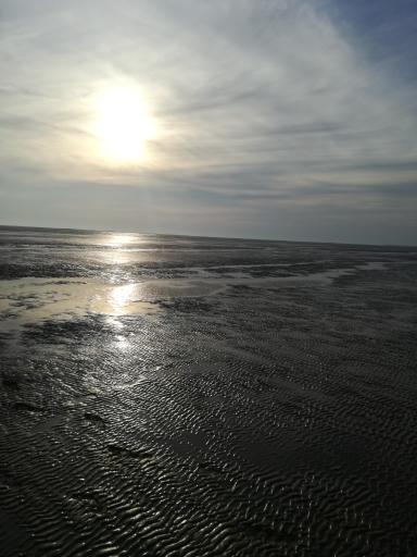 عکس بندر ریگ