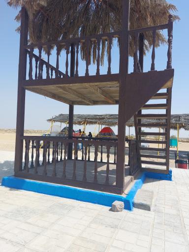 عکس بندر ریگ