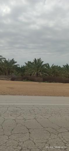 عکس بندر ریگ