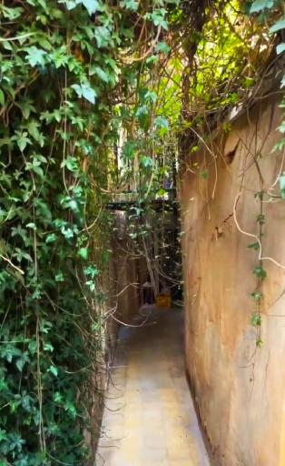 عکس رستوران خانه سنتی پرهامی