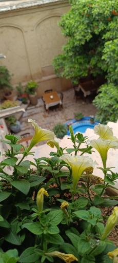 عکس رستوران خانه سنتی پرهامی