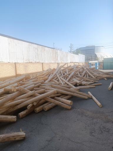 عکس کارخانه پوشال گل تک