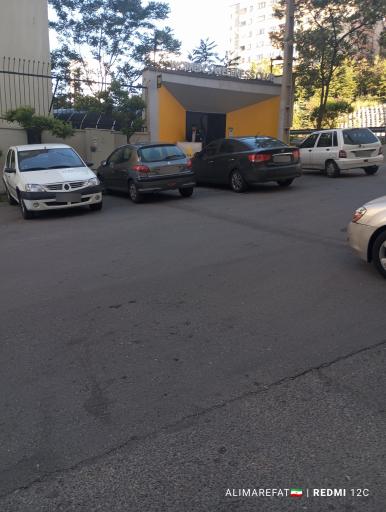 عکس باشگاه ورزشی بانوان Women's Wellness Club