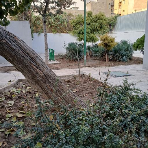 عکس بوستان مهرآور