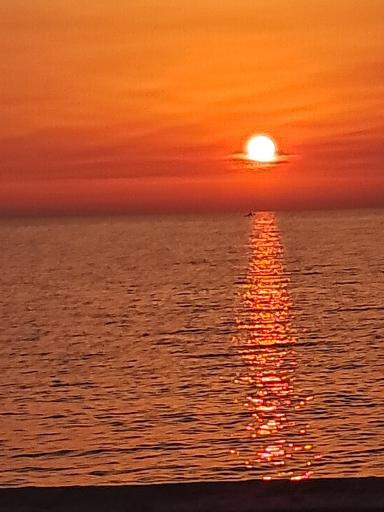 ساحل پارک دانشجو بوشهر