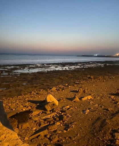 عکس ساحل پارک دانشجو بوشهر