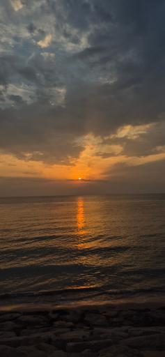 عکس ساحل پارک دانشجو بوشهر