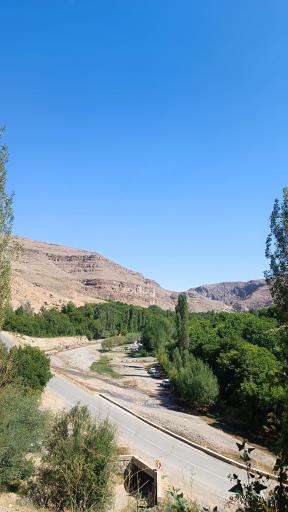 عکس آل