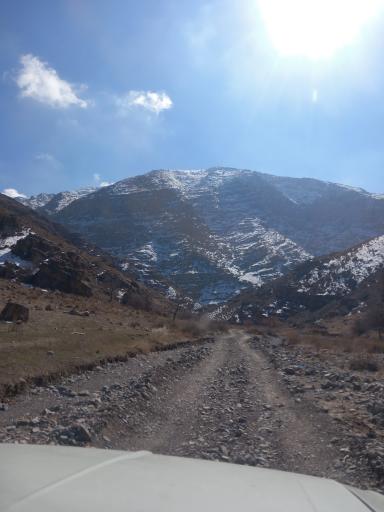 عکس آل