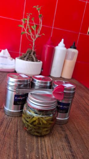 عکس ساندویچ فلفل