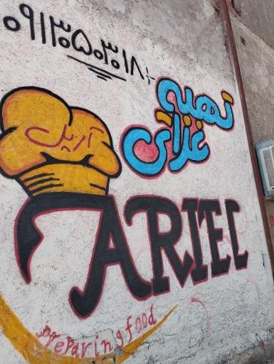 عکس تهیه غذای آریل