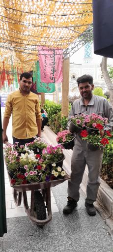 عکس مسجد صدیقی ها