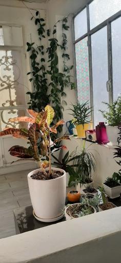 عکس خانه مشاوره