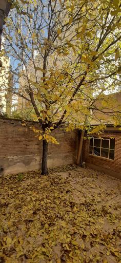 عکس خانه مشاوره