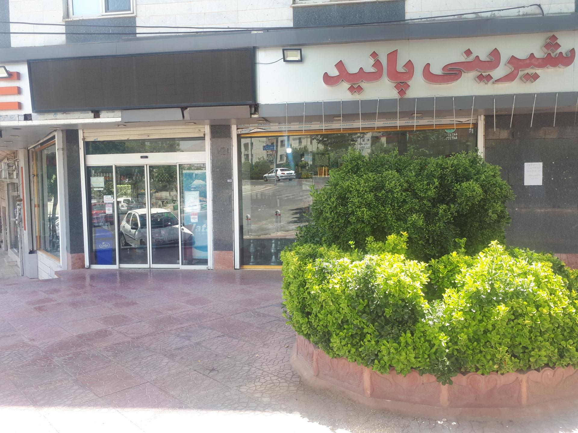 عکس شیرینی پانید