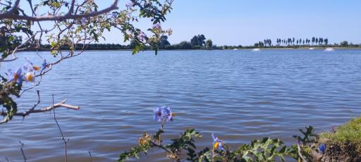 عکس دریاچه افرا