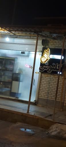 عکس پوشاک تخصصی بانوان گلنوش