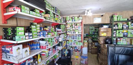 عکس دنیای لنت 