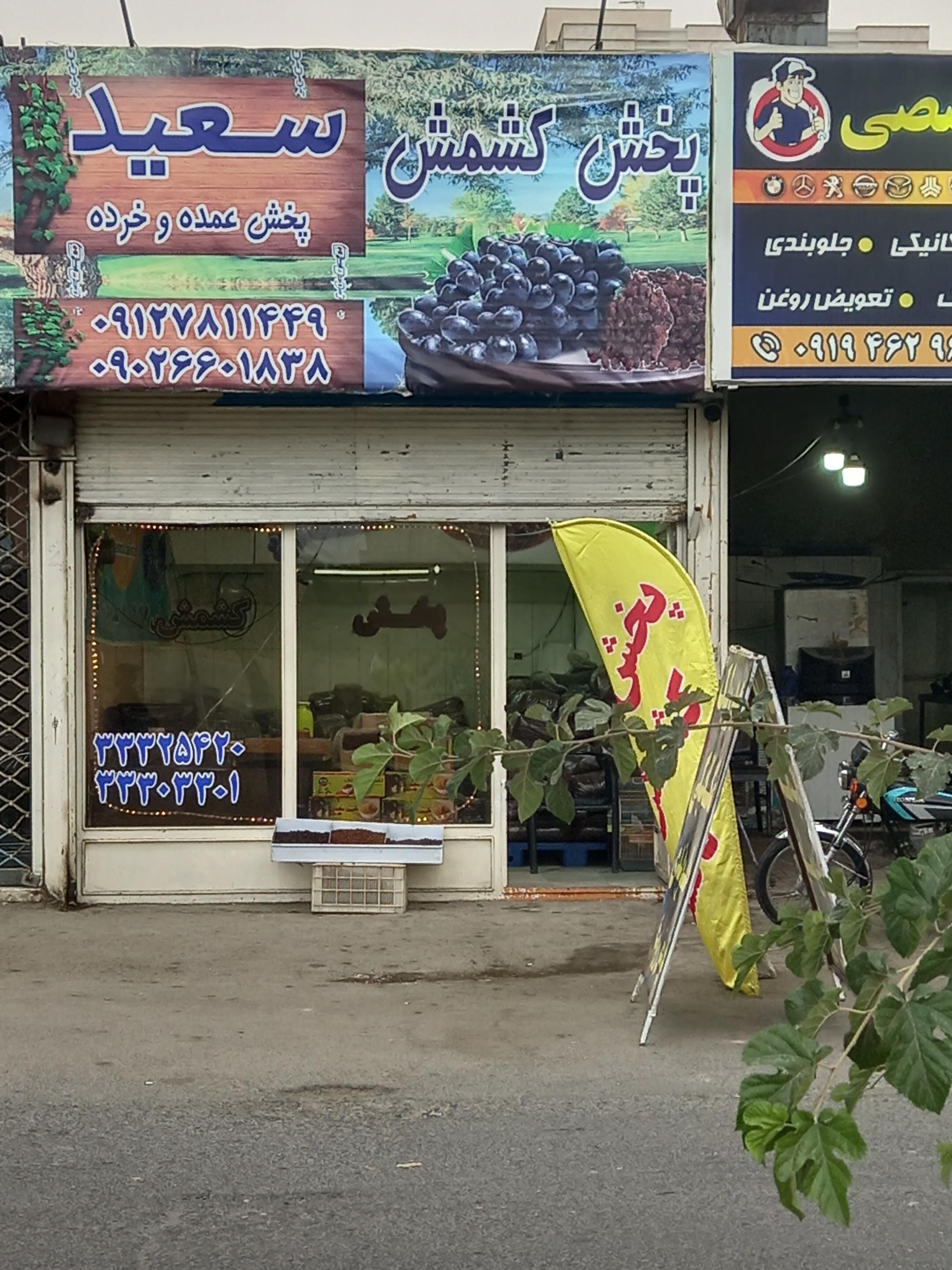 عکس پخش کشمش سعید