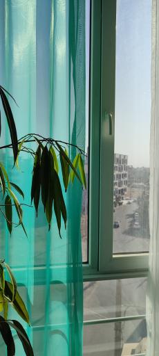 عکس زیبایی مریم افشار