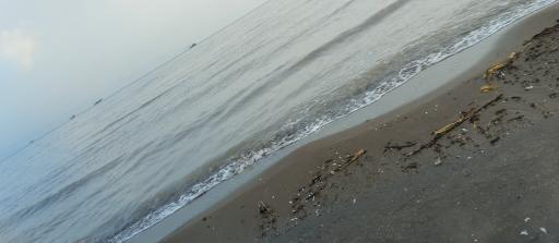 عکس پارک ساحلی سرخرود 