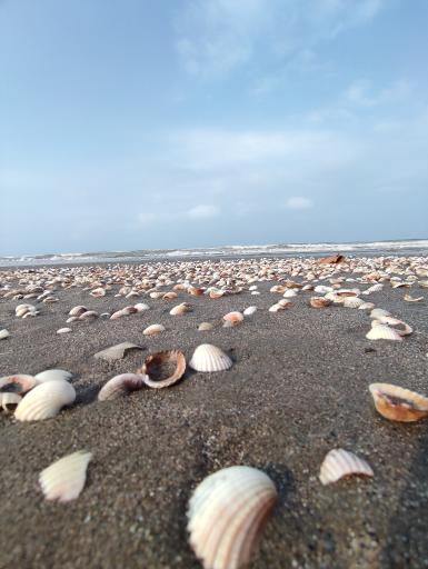 عکس پارک ساحلی سرخرود 