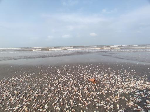 عکس پارک ساحلی سرخرود 